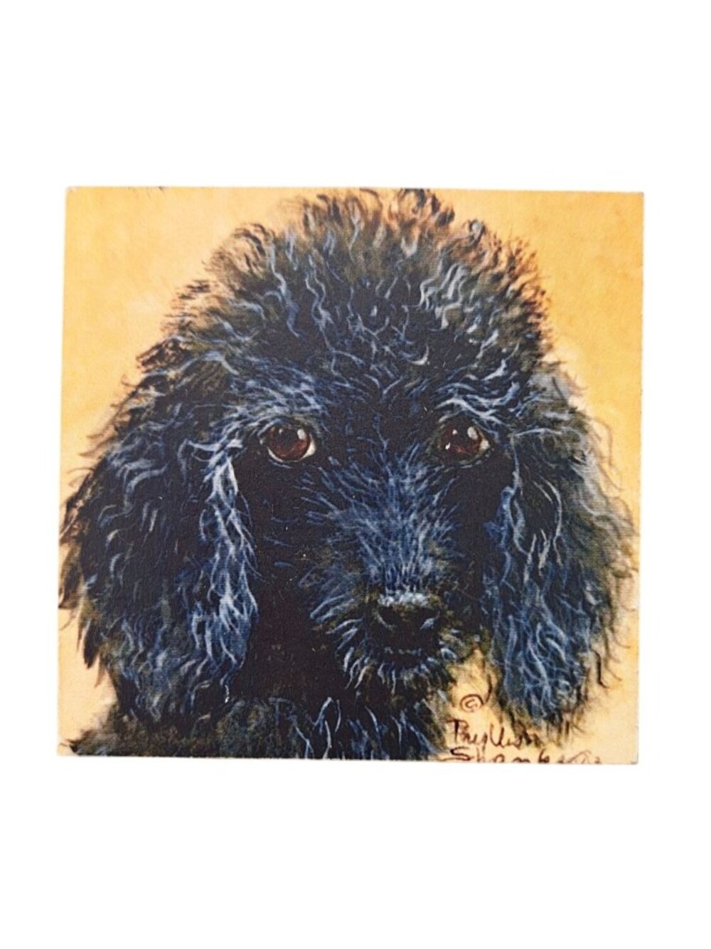 Vintage Black Poodle Square Magnet Dog Puppy Portrait Art Curly Hair French